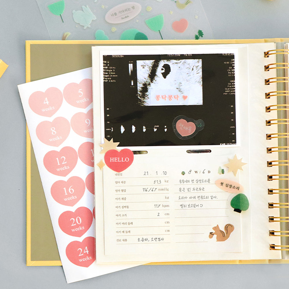 Coniytail Pregnancy Diary Maternity Journal