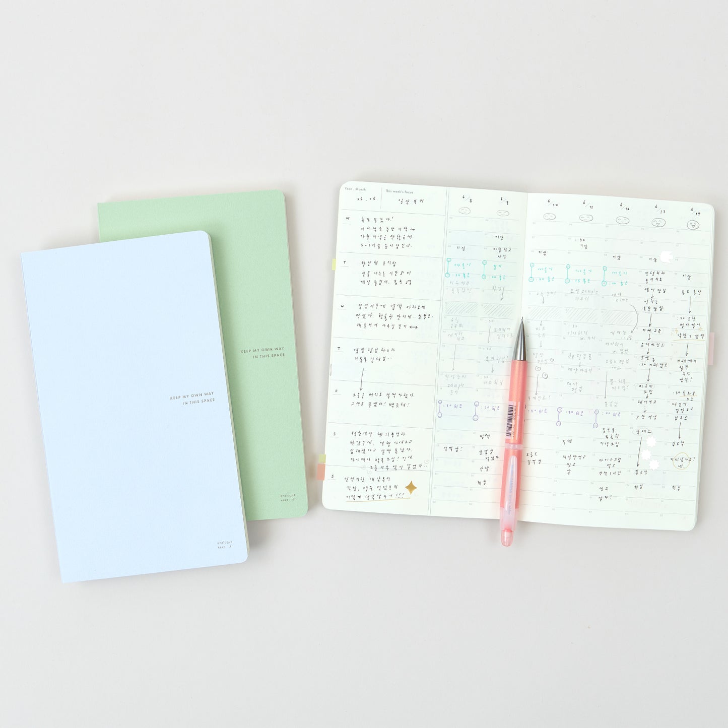 Space diary 6 months 스페이스 다이어리 6개월