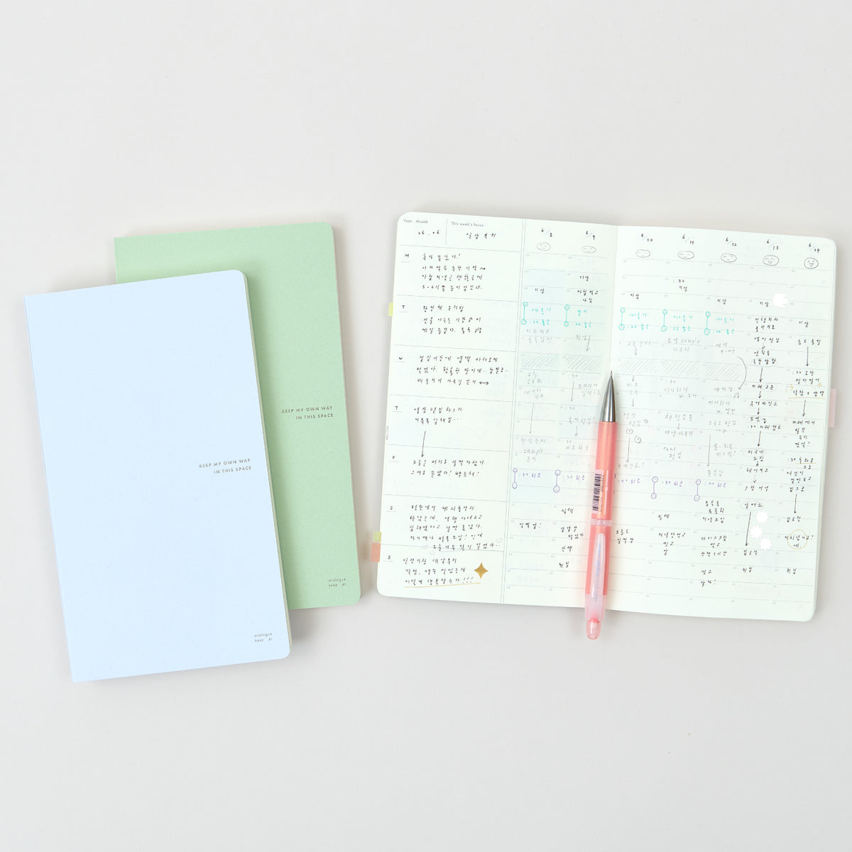 Space Diary 6 Month Planner
