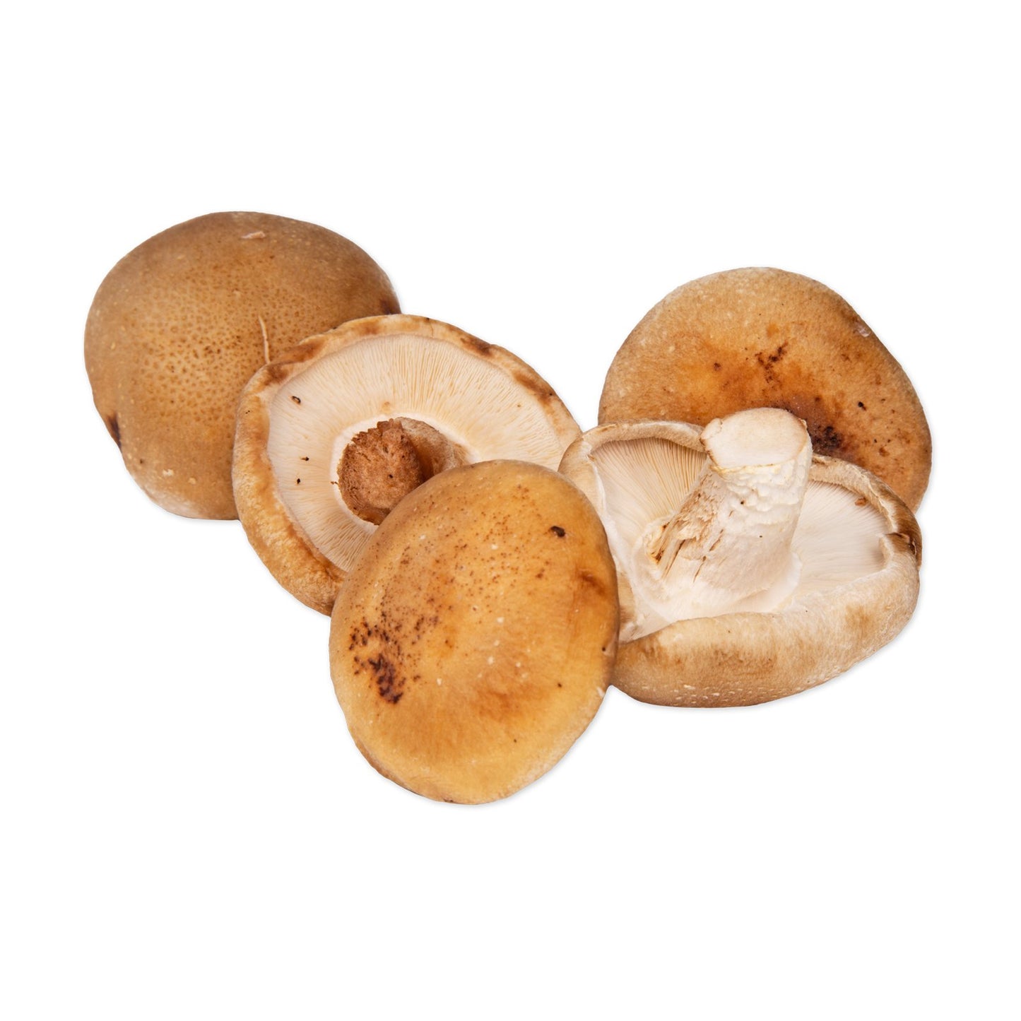 Shiitake Mushrooms