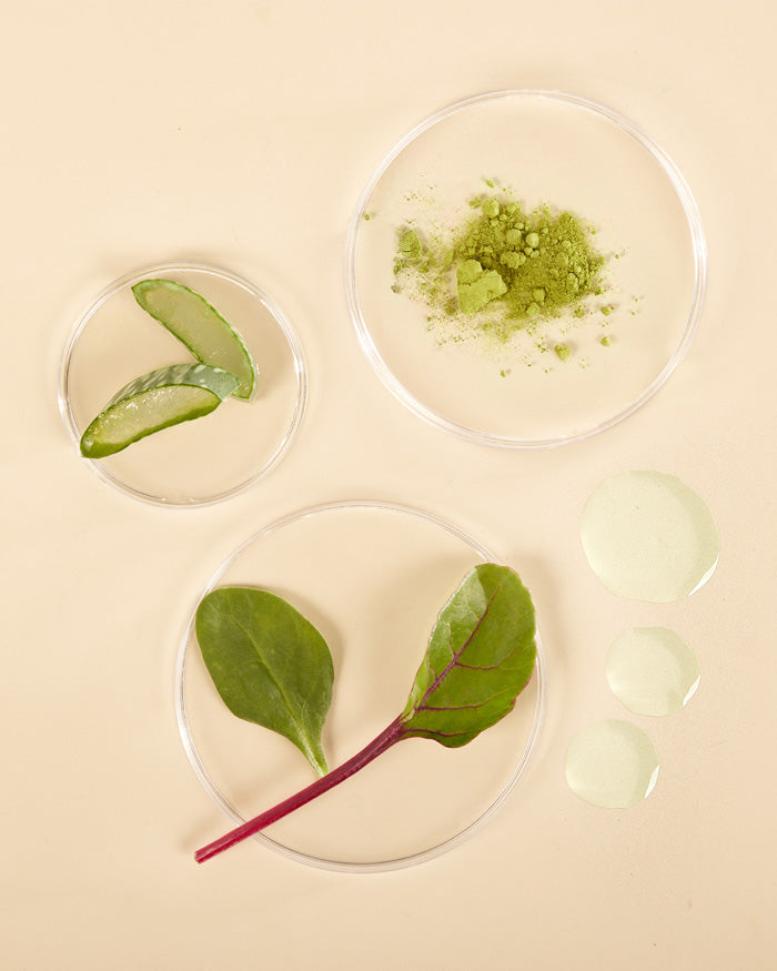 the klog Plant-Rich Antioxidant Pore Cleansing Oil - Image 2