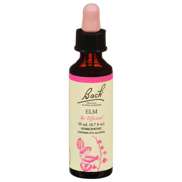 Bach Elm